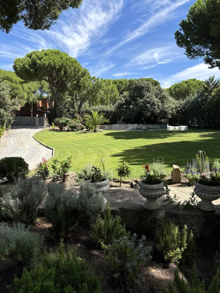 Jardín verde cuidado con pinos y borduras