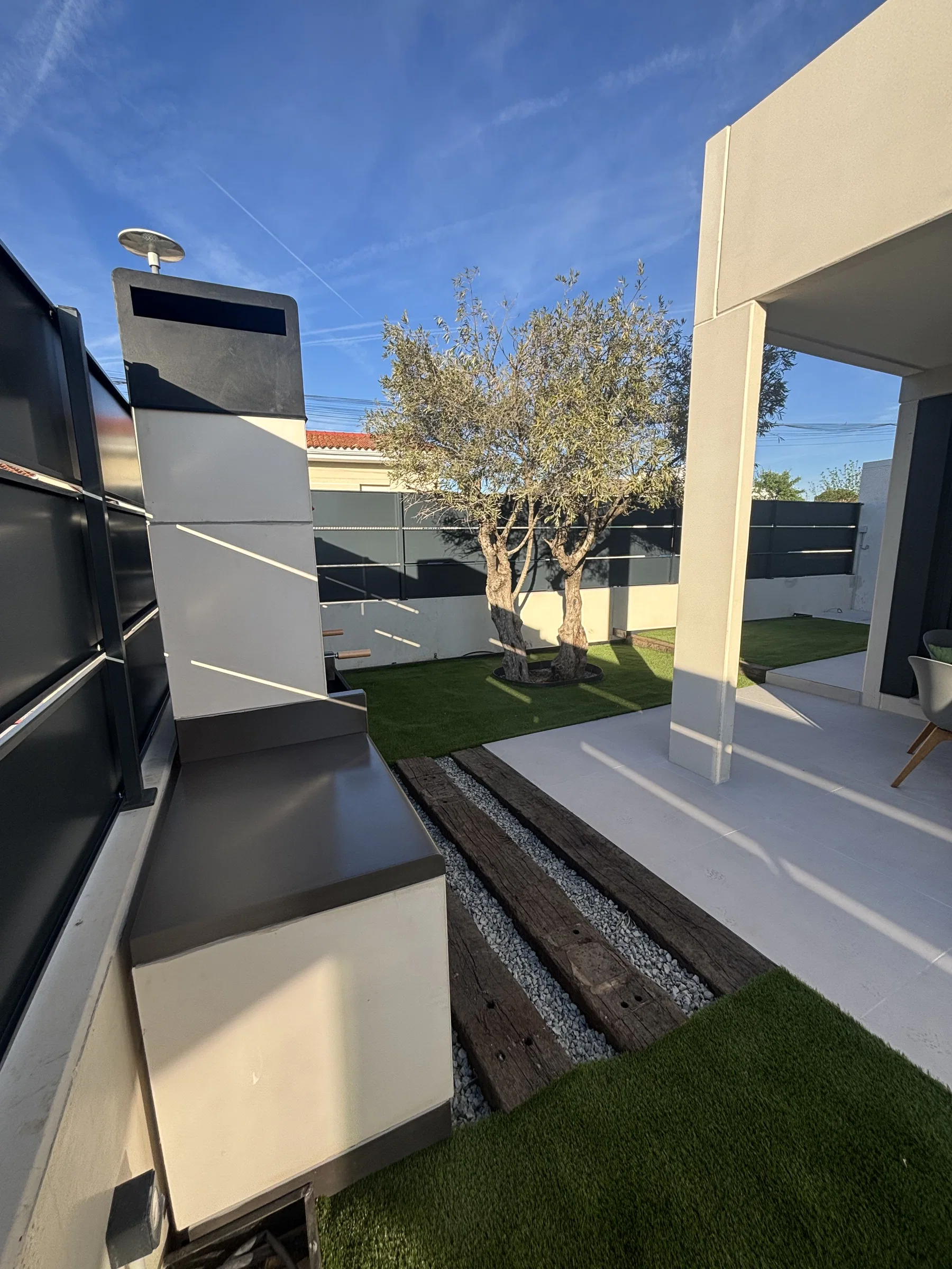 Patio contemporáneo con césped, olivo y pavimento claro